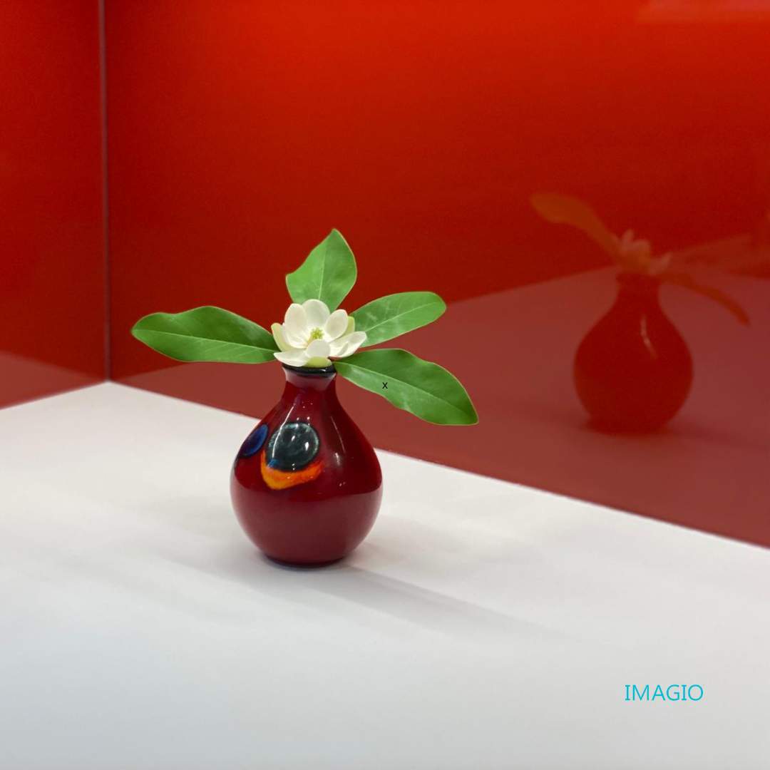 Bolero Red Solid Glass Kitchen Backsplash by IMAGIO