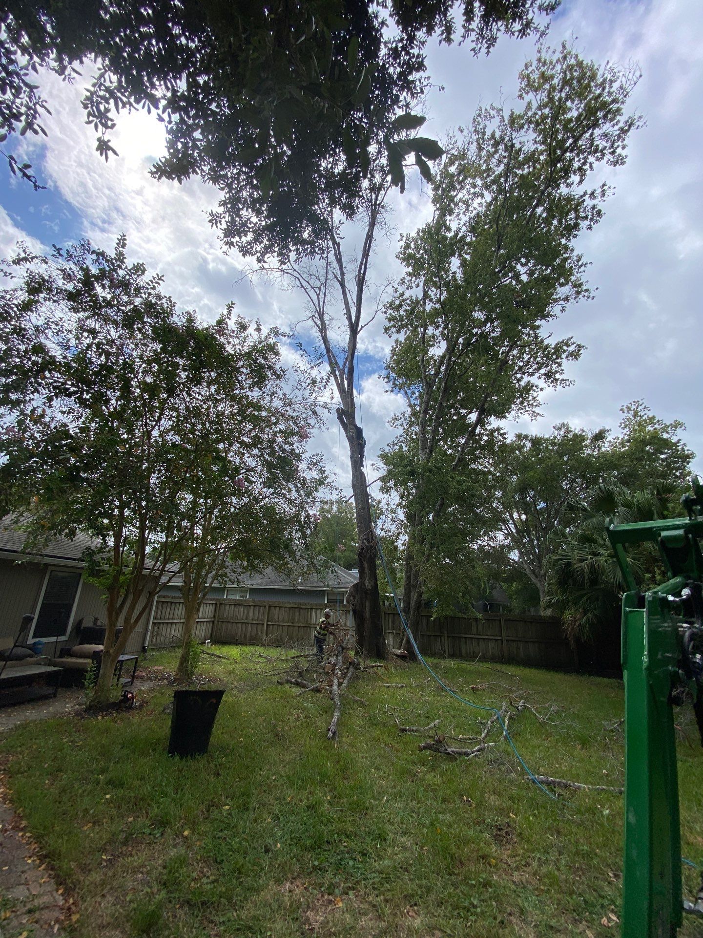 Tree Removal | Residential by ProGreen Services