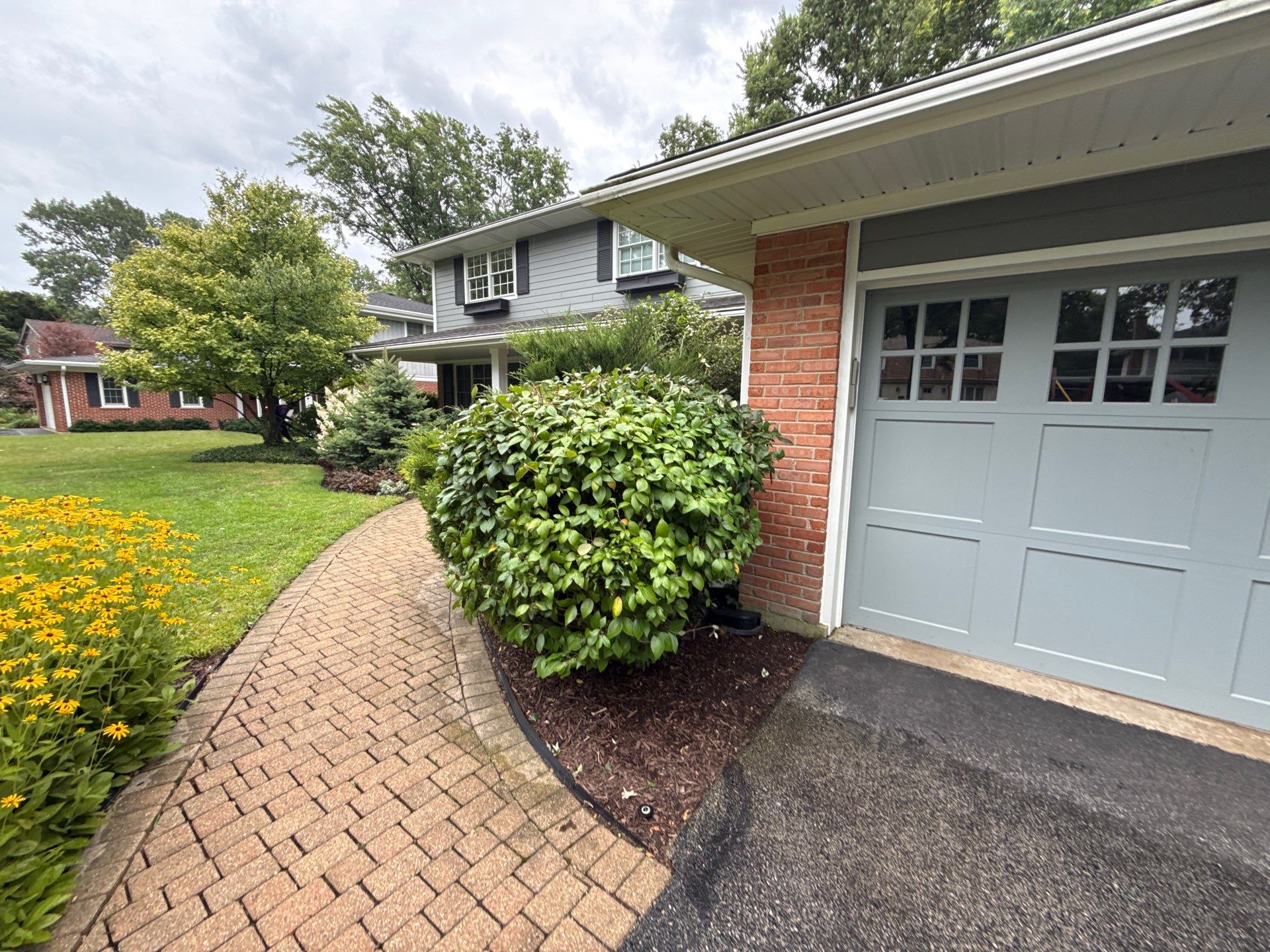 Christopher B. - Glenview, IL by A&N
