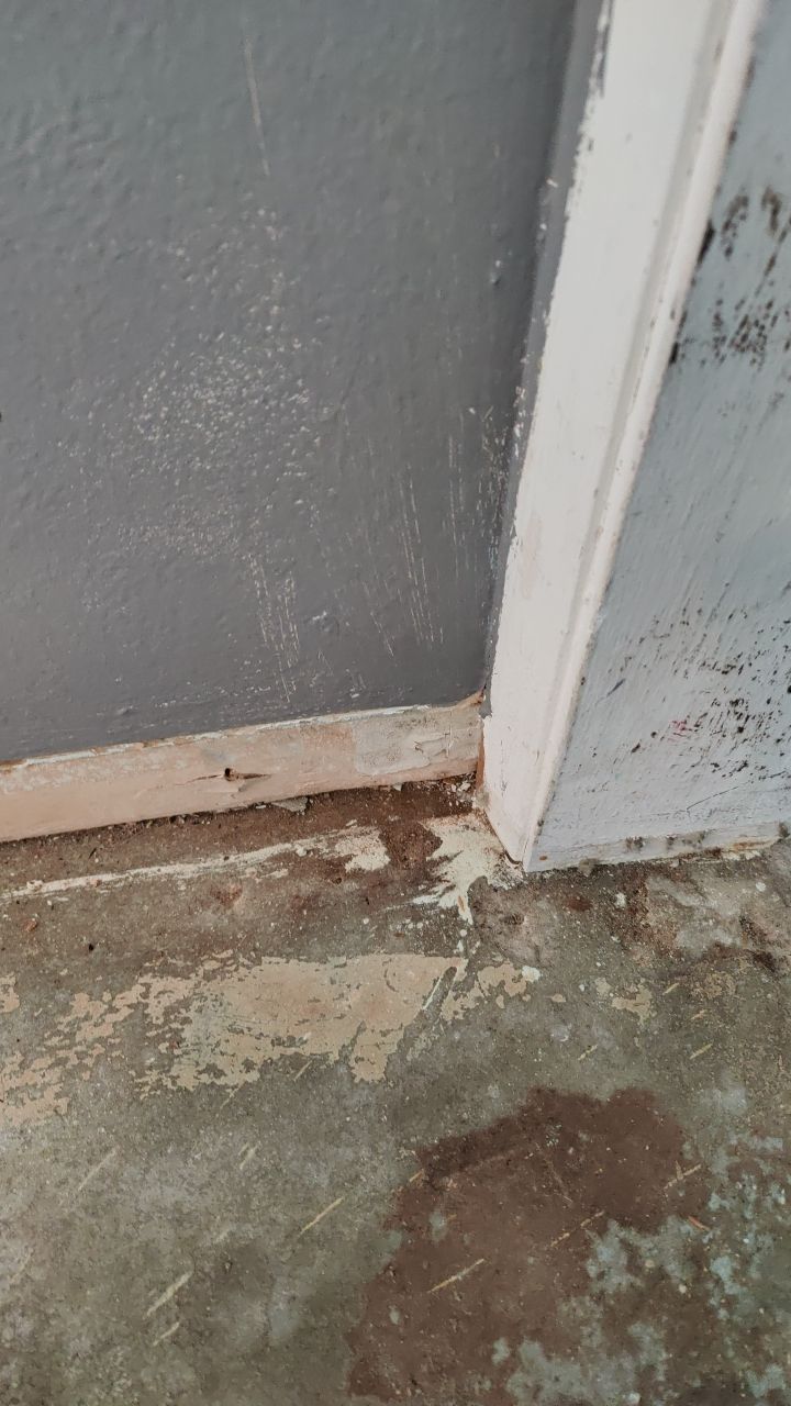 Mold Remediation by Accountable Home Services