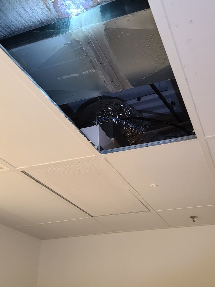Project in Novi by EzDry Water Mitigation & Property Restoration