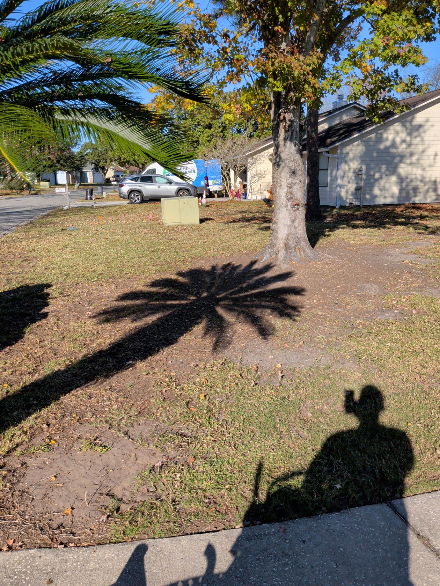 Residential Leaf Removal Service — Westside Jacksonville by Harmoni Home Services