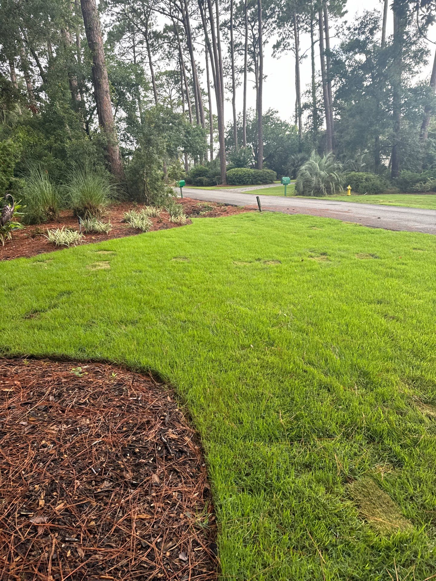 Residential Drainage Solutions and Sod Installation in Hilton Head Island by Lowcountry Scapes, LLC