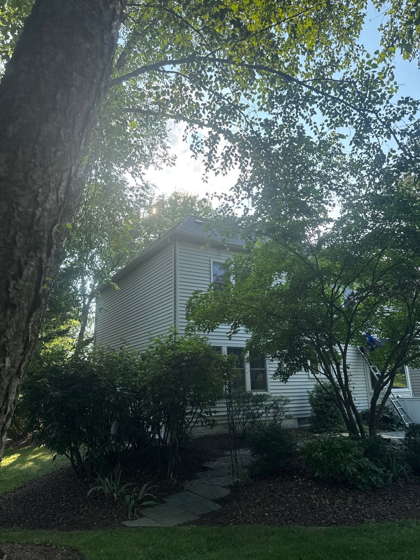 New Shingle Roof & New Gutters and downspouts with covers by Alpha Design Services