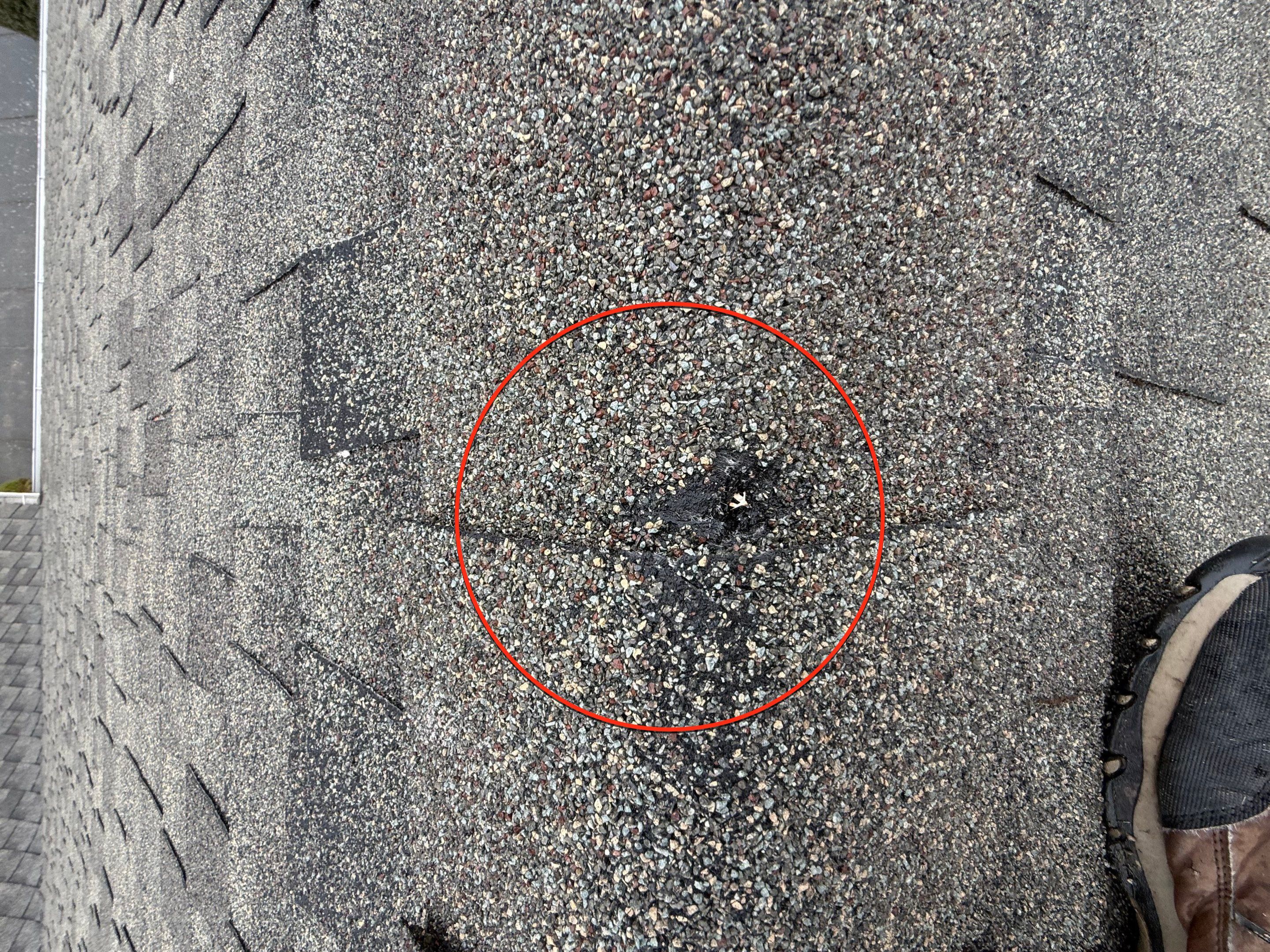 Roof Health Report • Eugene, OR by BEST Roofing & Waterproofing