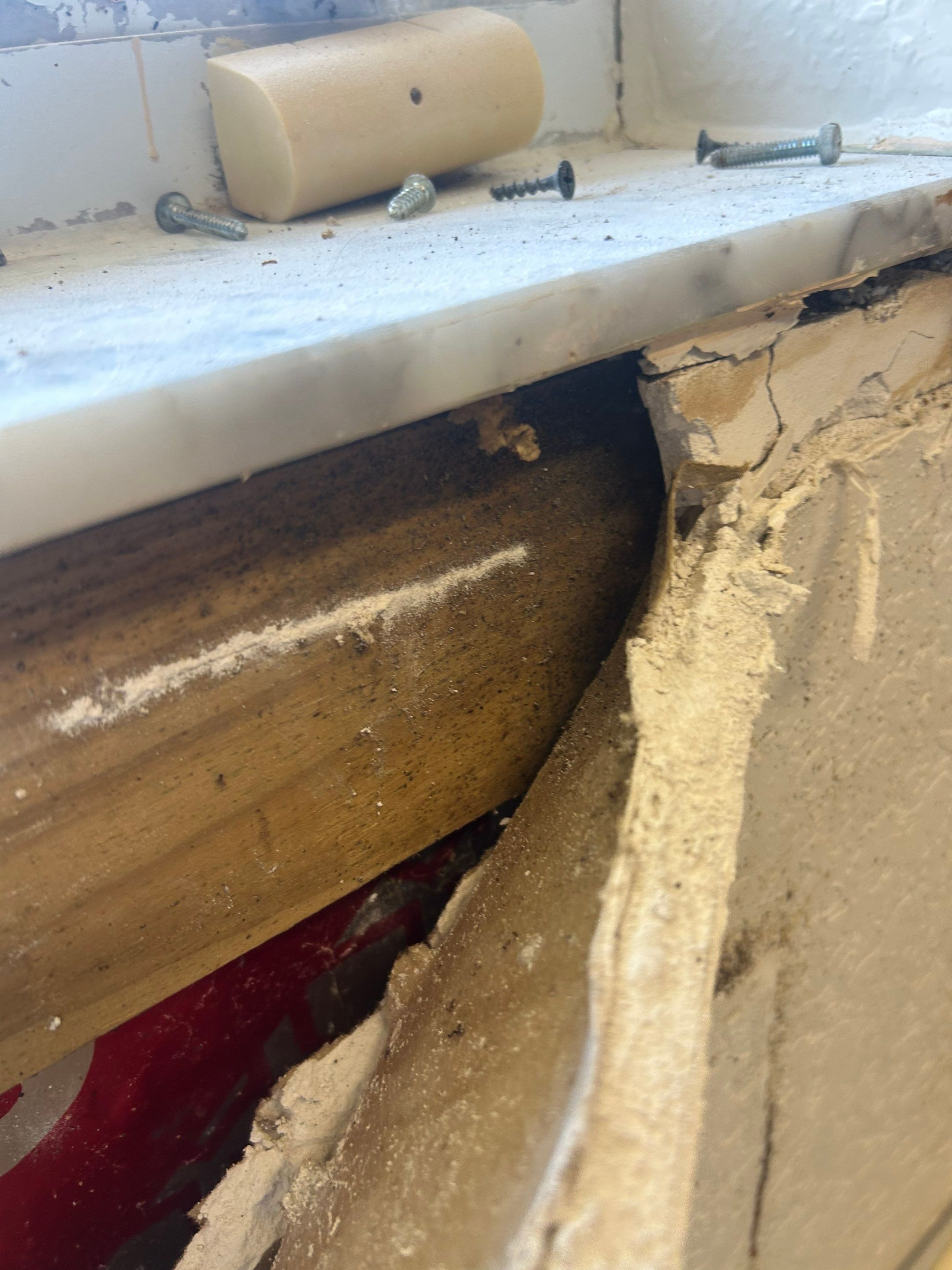 Project in Mascotte by You Restorations LLC DBA YOU-Home