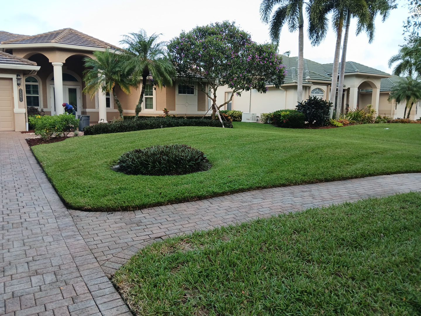 🌴✨ HAMMOCK CREEK SIGNATURE CLEANUP — THE ALPHA ZETA WAY ✨🌴 by Alpha Zeta Enterprises Inc