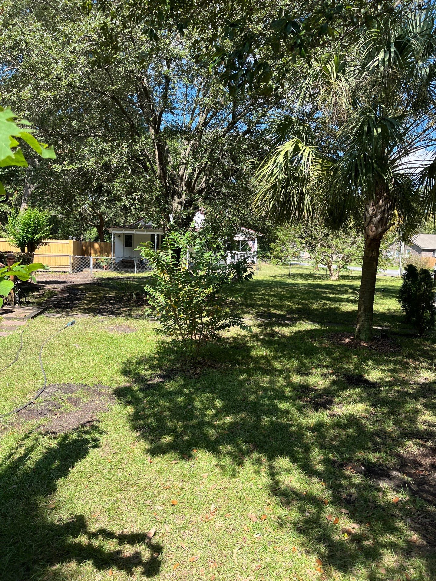 Hedge Trimming in Summerville by Hudson Bros Lawn Care LLC