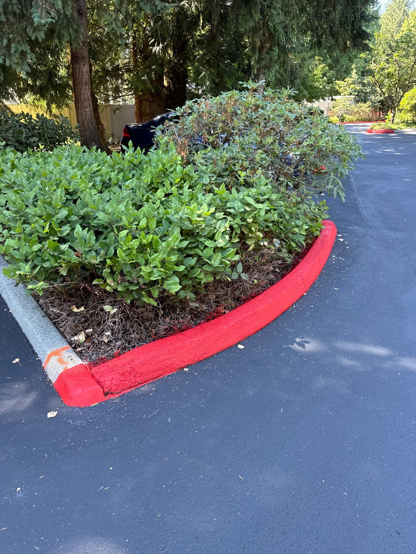 Curb Repaint | Seattle  by Jireh Asphalt & Concrete Inc 