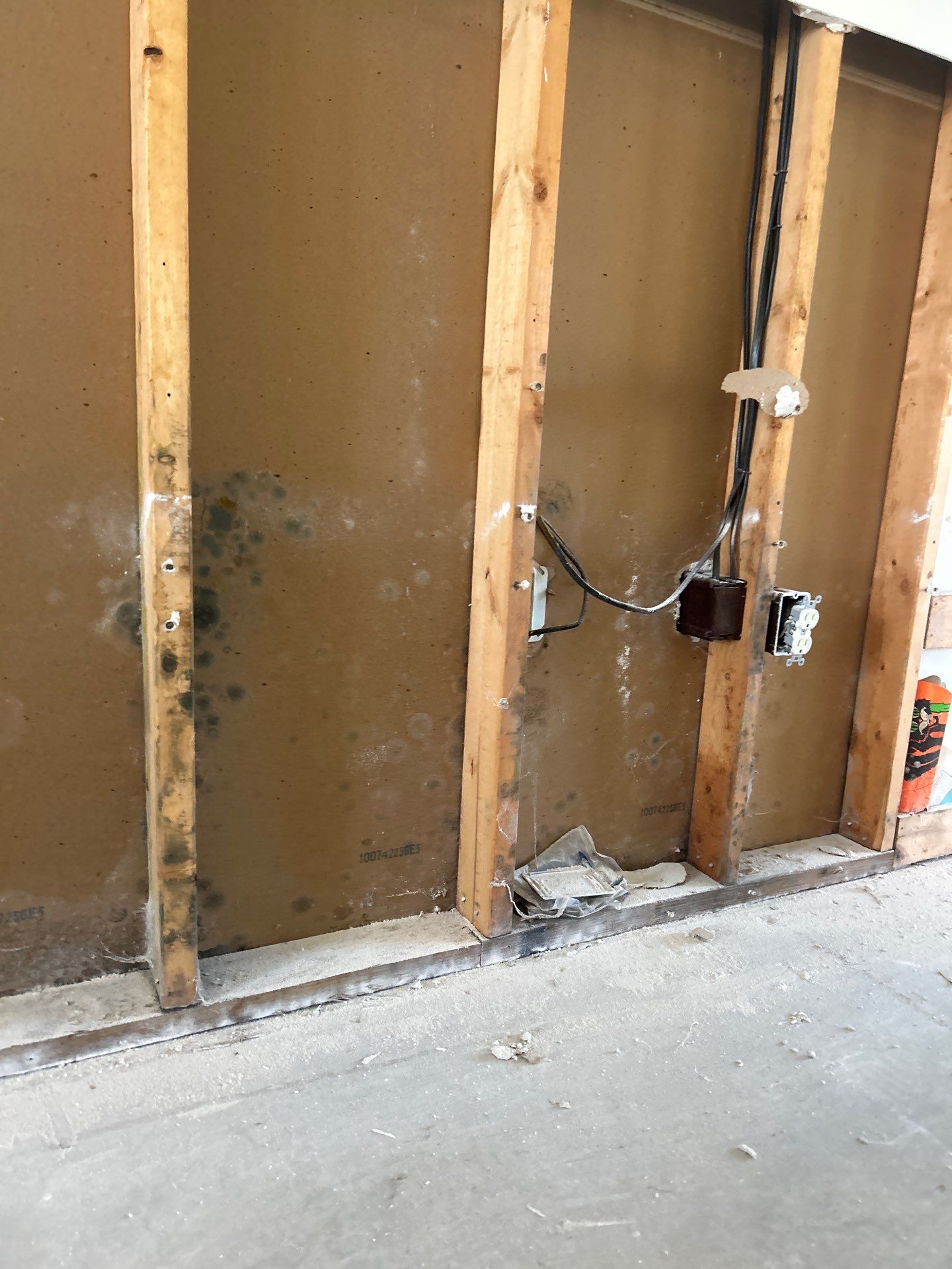 Mold Remediation In Sarasota by Ampm Restoration Services