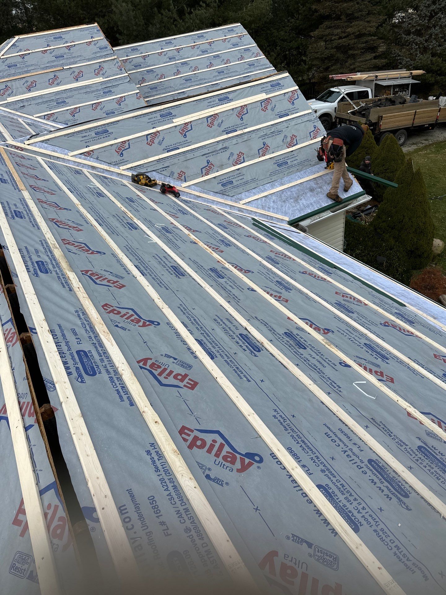 Alpha Rib, Color: Forest Green by Eagle Eye Roofing