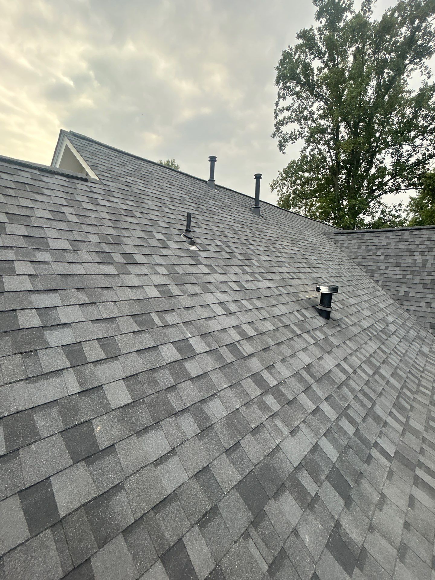 Great Falls : residential Roof with CertainTeed Landmark Pro in Max Def Moire Black  by RM Banning, Inc.