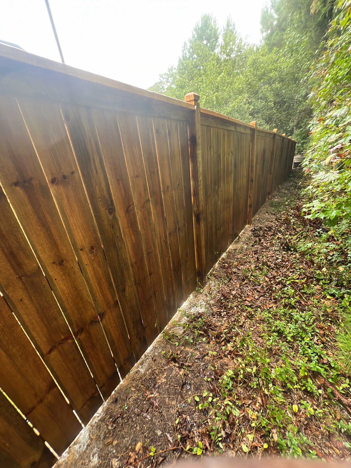 Fence Staining using Pecan by SSE by Titans of Timber Fence & Stain