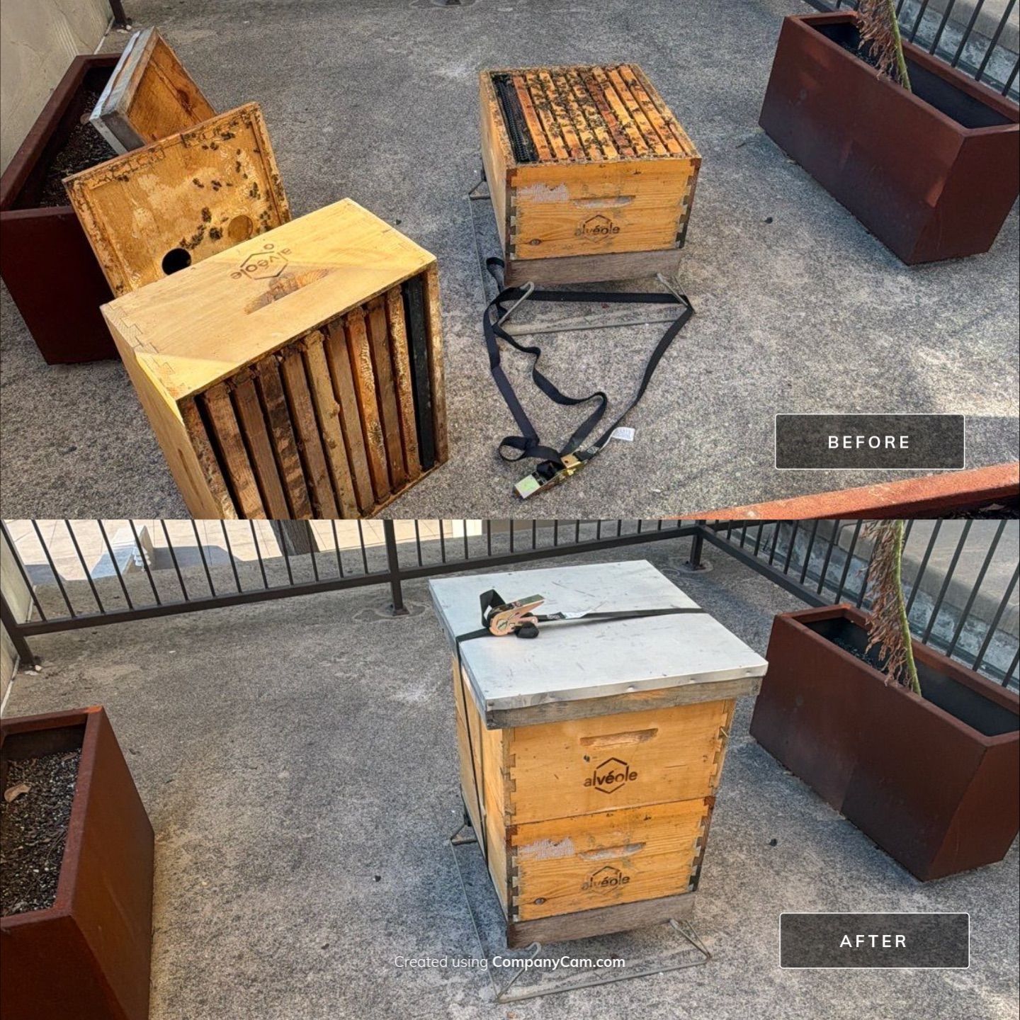 Happy Parking Lot Bee Hive by Rockwall Honey Bee Company
