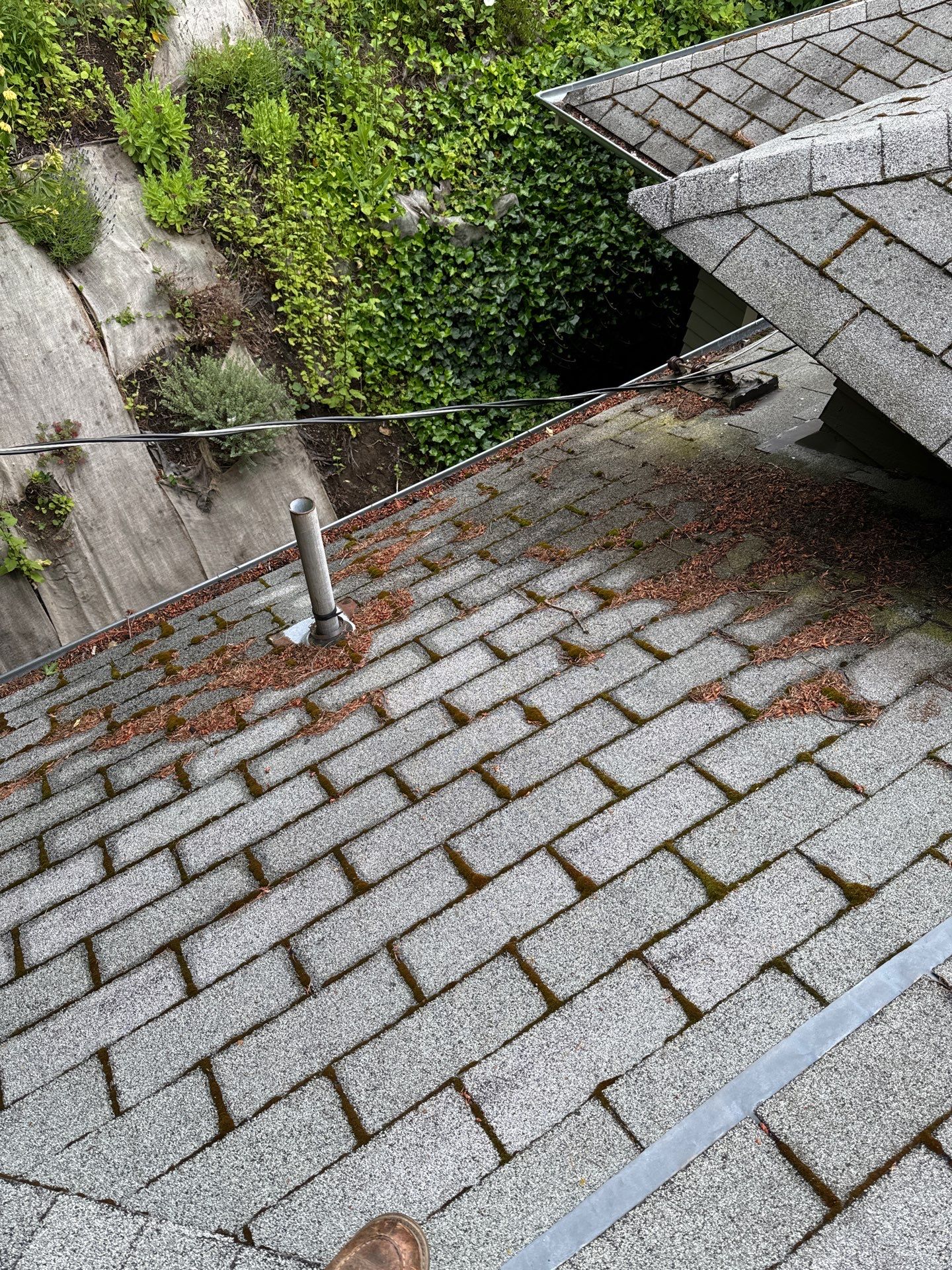 Project in Seattle by Peaks and Valleys Construction