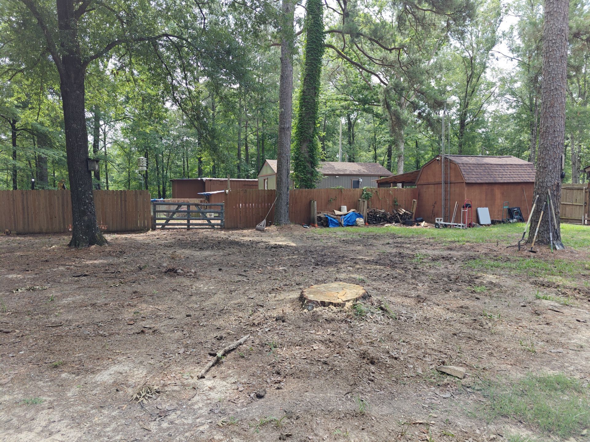 Weekly Landscaping  by College Bros Outdoor services
