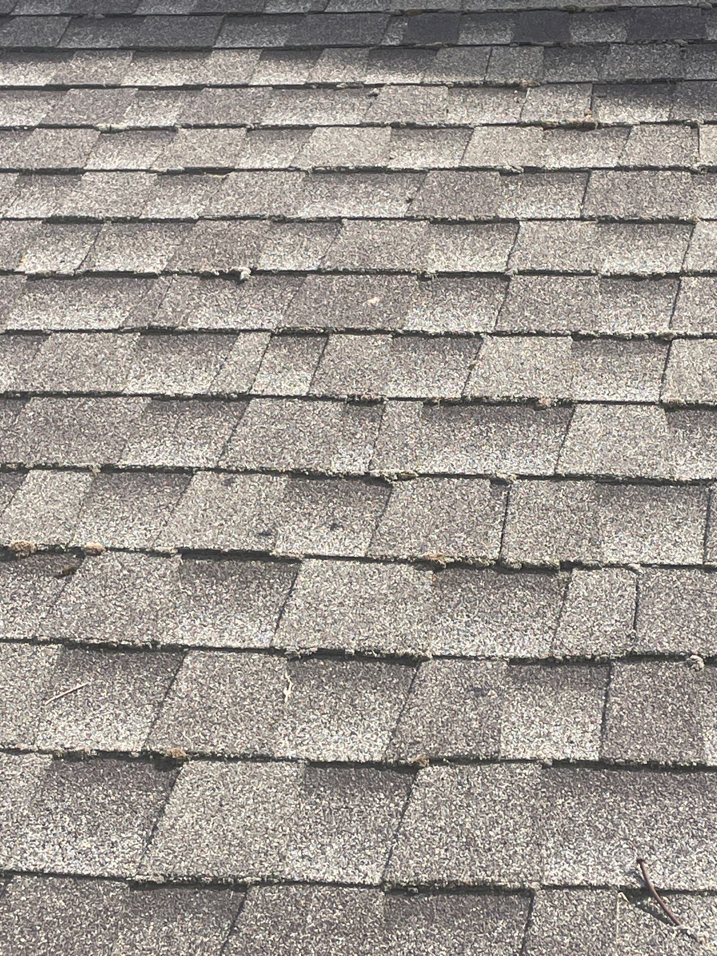 Roof Rejuvenation using Roof Maxx Treatment by Roof Maxx of Folsom