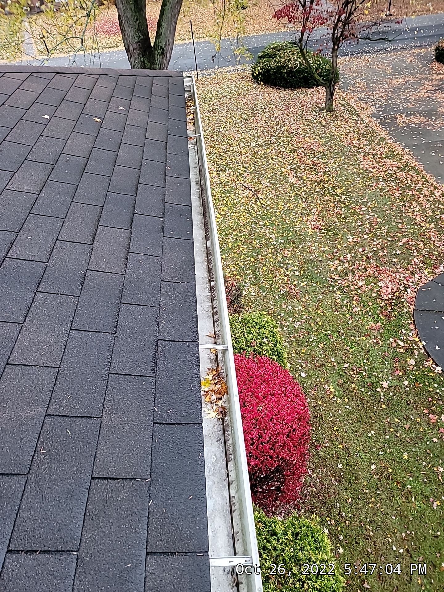 ATLAS PINNACLE COLOR: PRISTINE SCOTCHGARD WEATHERED DRIP EDGE: MUSKET BROWN by Eagle Eye Roofing