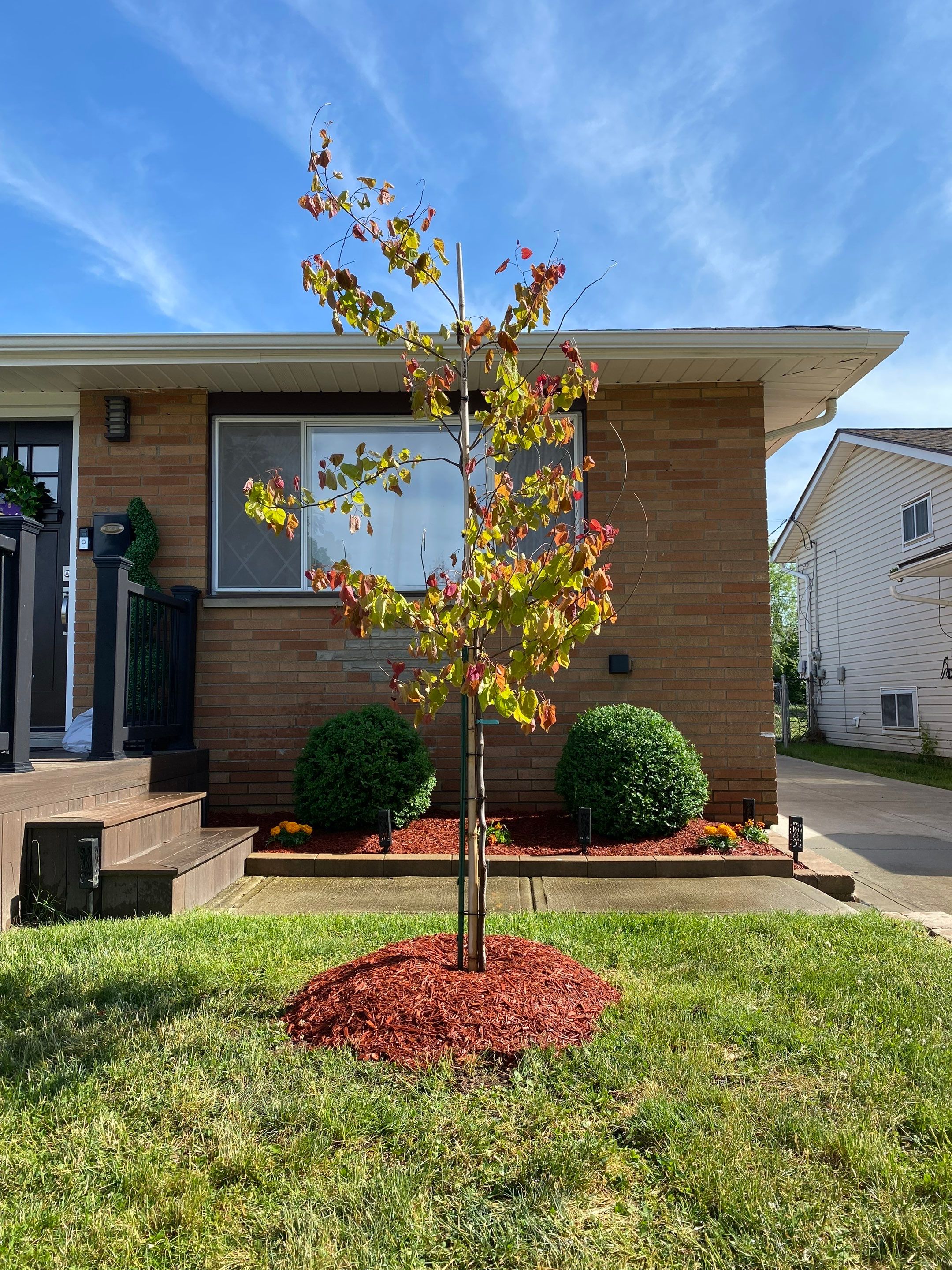Chestnut Brick Project by Elm Rose Gardens