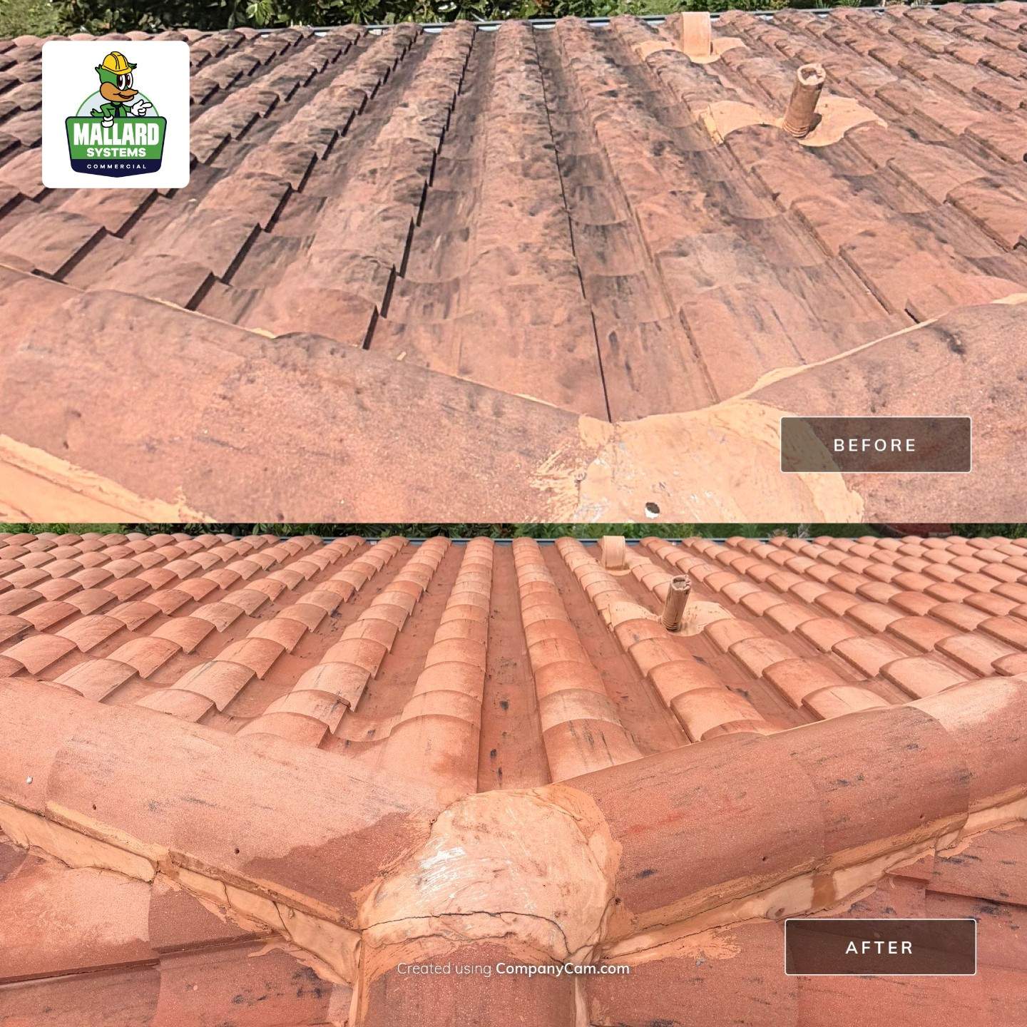 Tile Roof Cleaning and Exterior Soft Wash in Oviedo by Mallard Systems