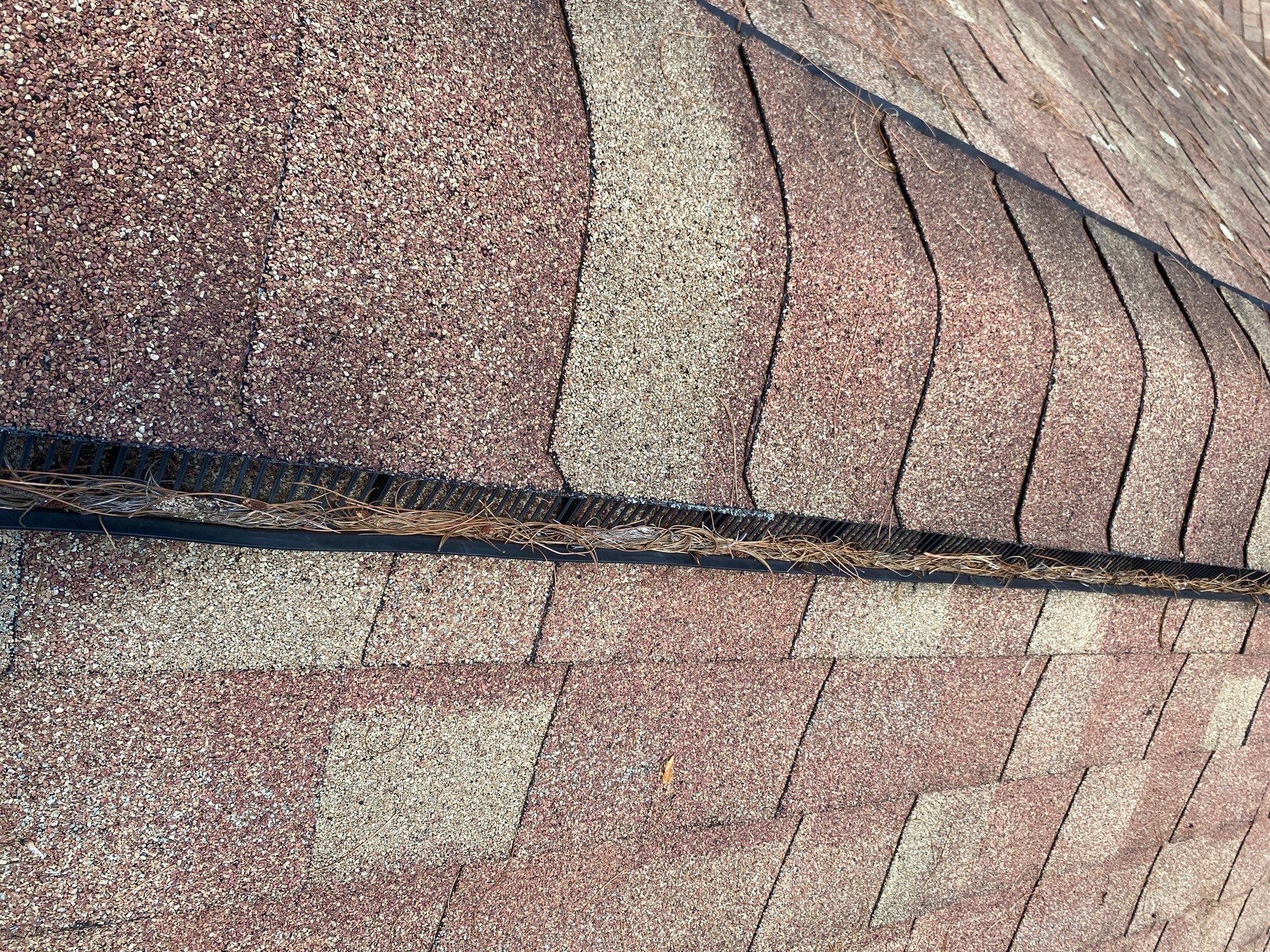 Roof Replacement – Rosalie Brown, MA by Mighty Dog Roofing of Greater Middlesex County