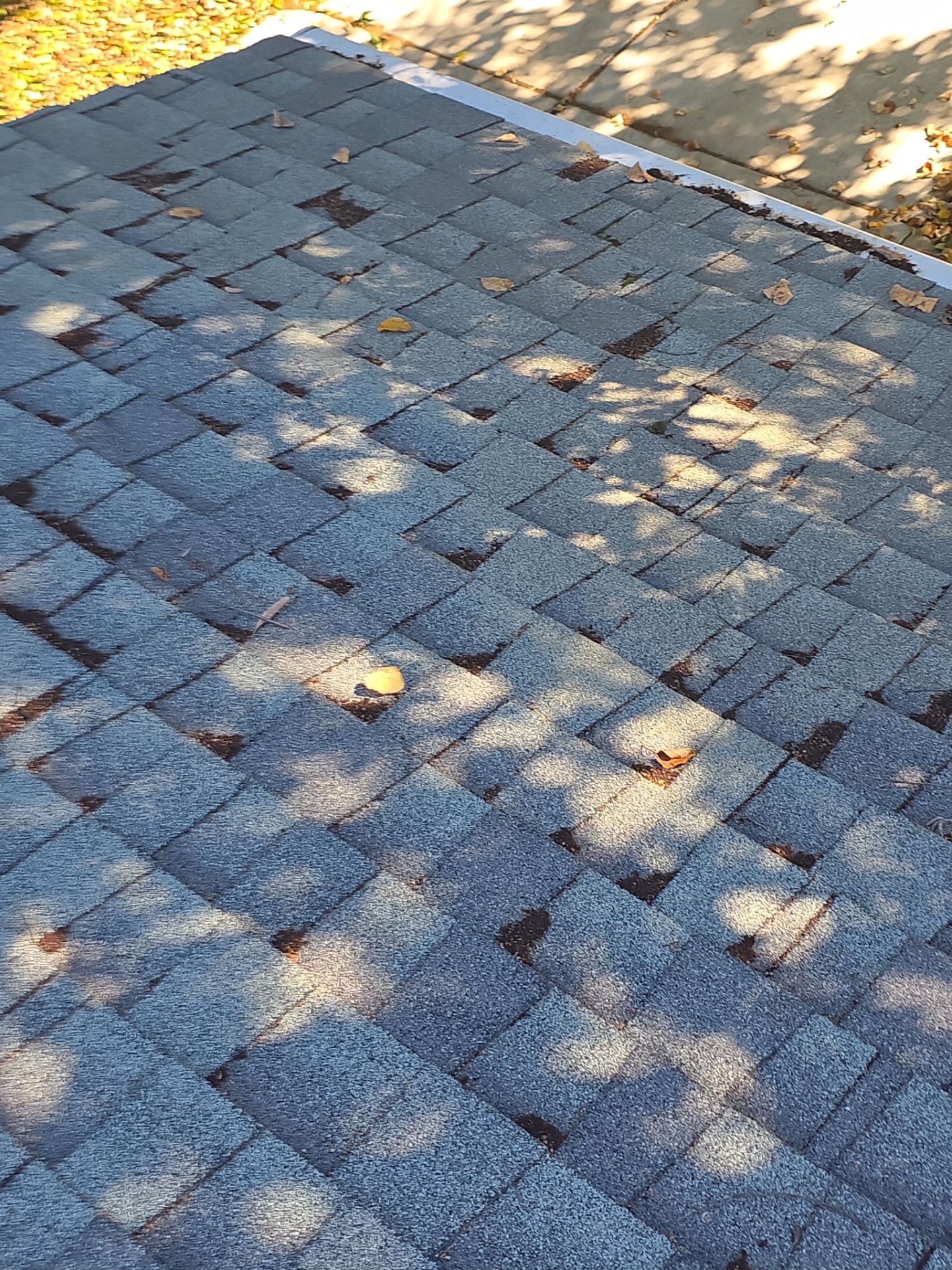 Roof Rejuvenation using Roof Maxx Treatment by Roof Maxx of Folsom