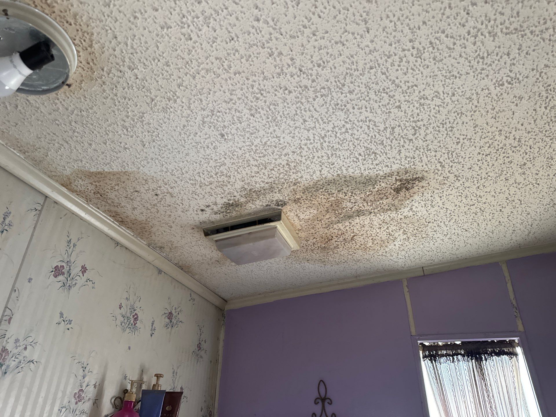 Water Damage Claim in Live Oak by FLAPA & KeyStone
