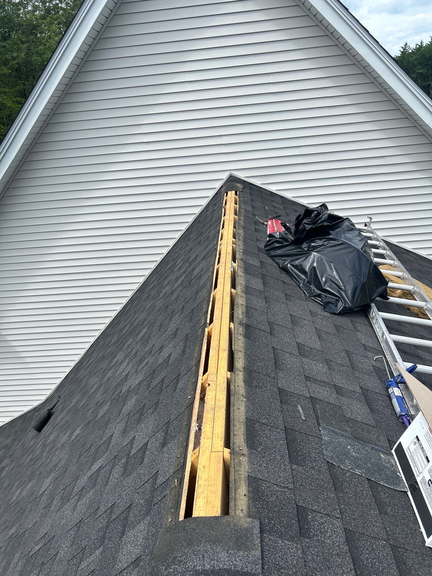 Project in Brookline by Mighty Dog Roofing of Greater Middlesex County