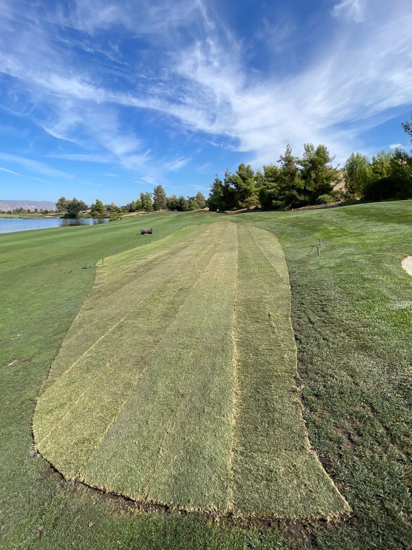 Project in Brooks by A - G Sod Farms