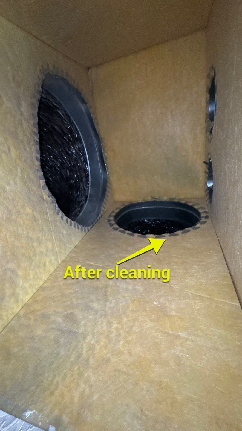 Air duct and Bathroom Exhaust Cleaning in Apopka by Hygienic Air, Inc