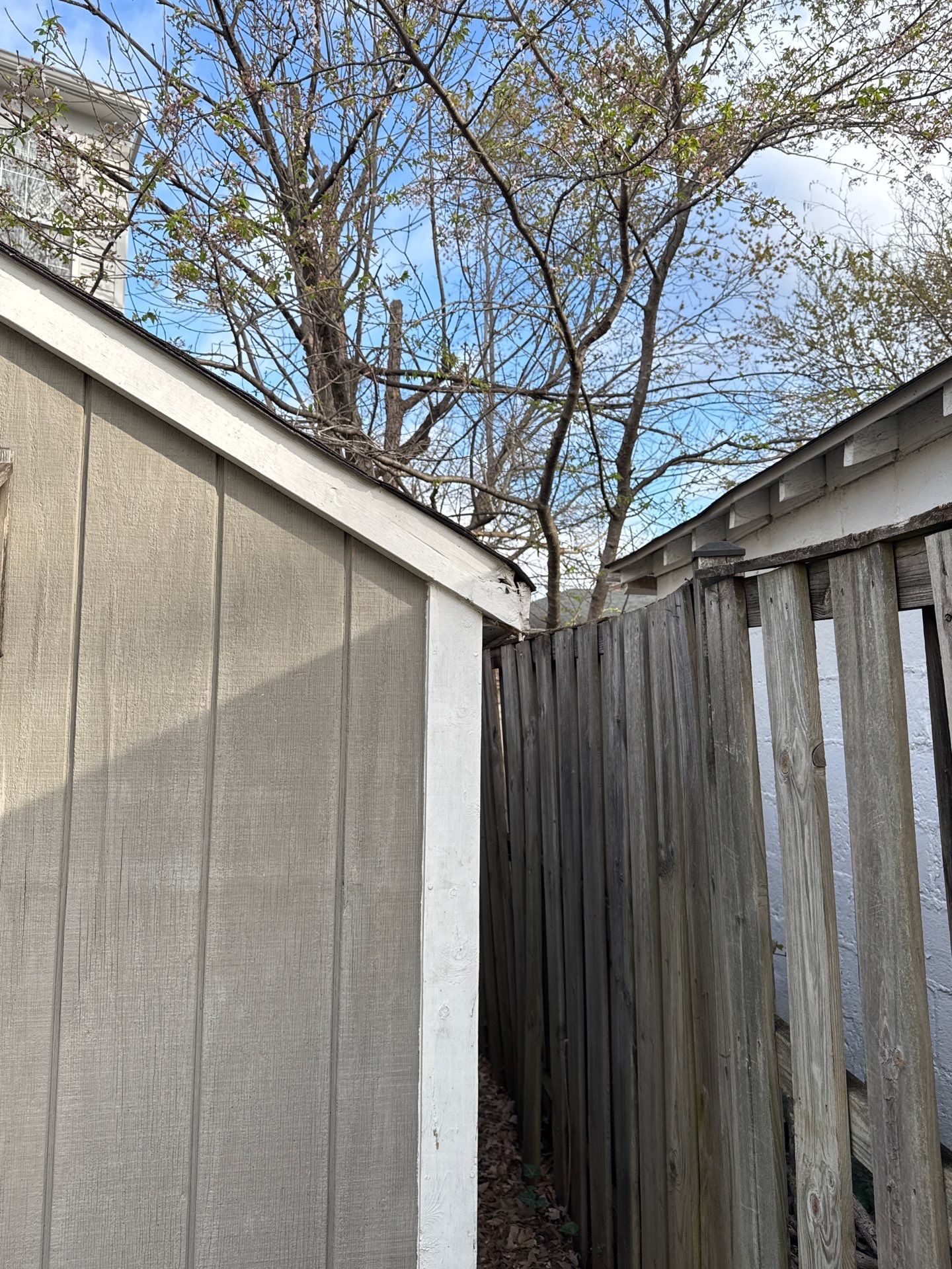 Exterior Repairs in Arlington, VA by My Painter 