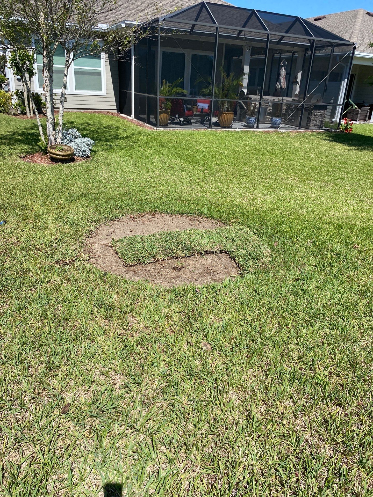 Residential | Clean-up, Sod and Rock Installation by ProGreen Services