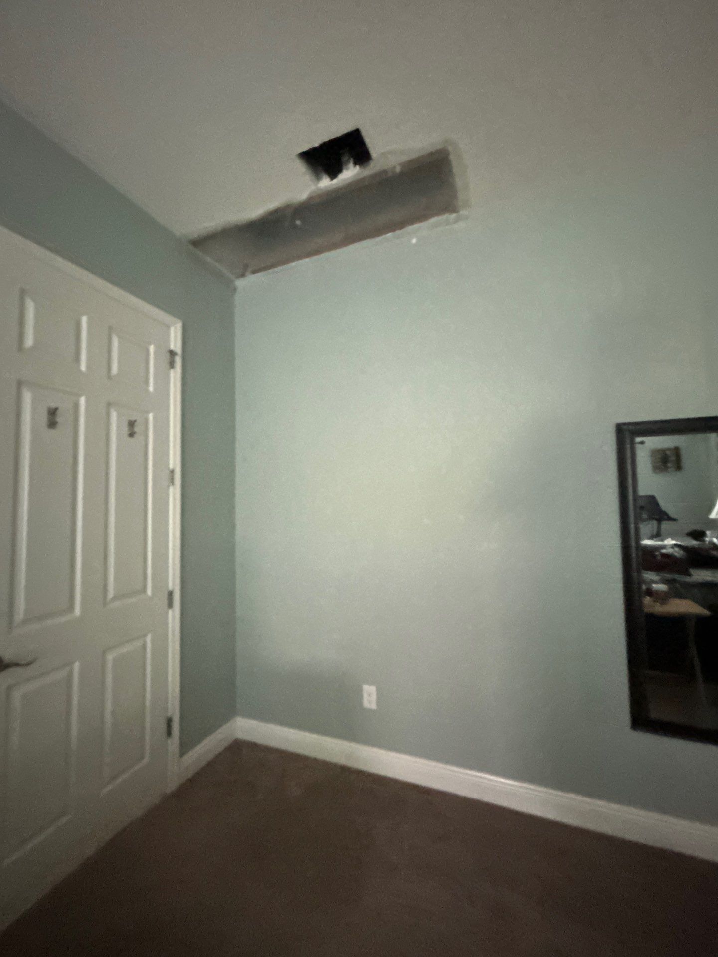 Mold Removal and treatment in Brandon, Florida by Ampm Restoration Services