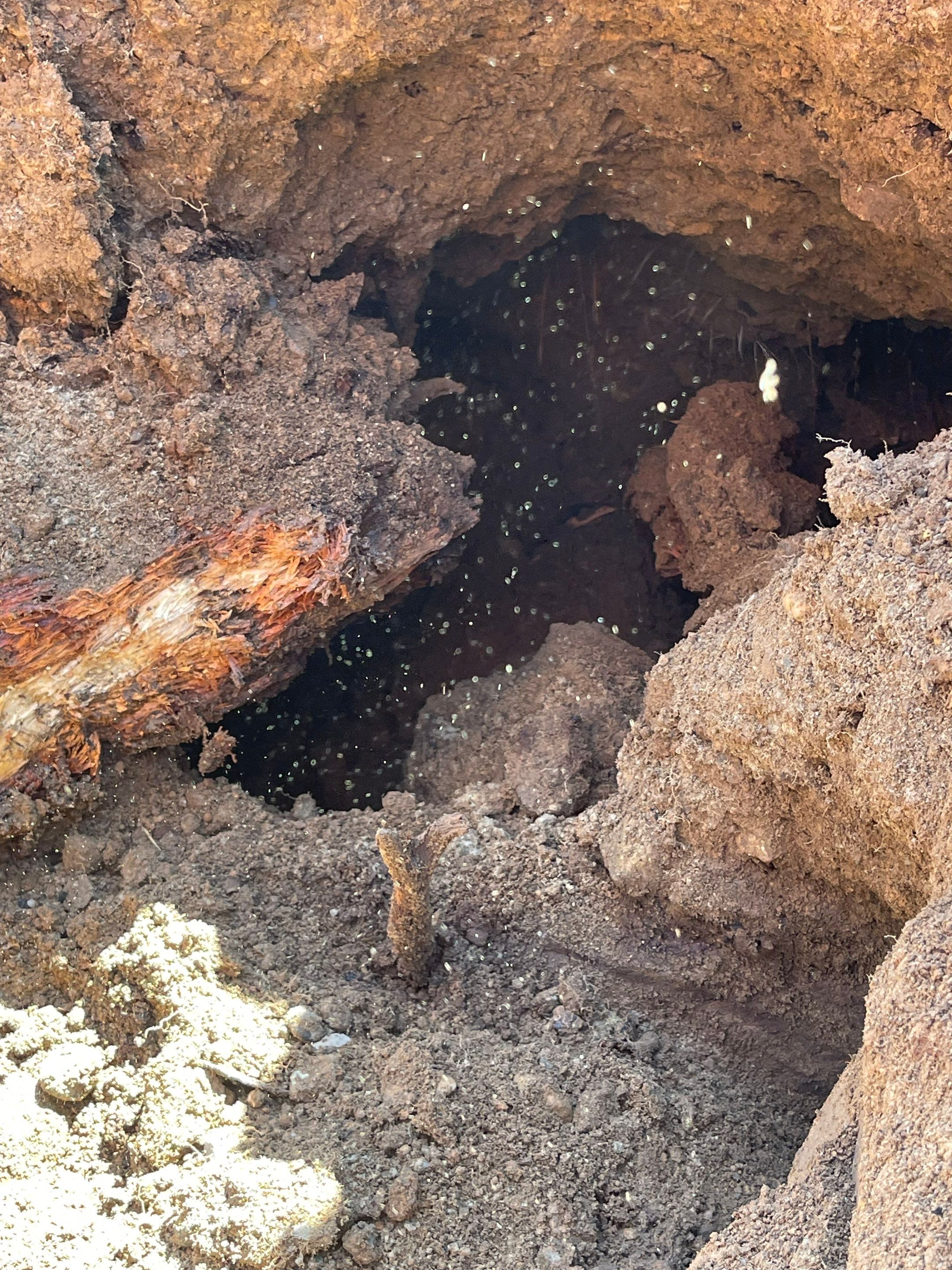 John | Asphalt Driveway by Jireh Asphalt & Concrete Inc 