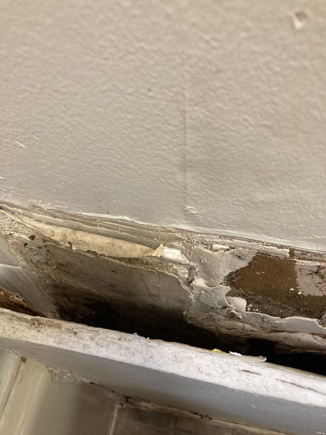Water Damage in Bathroom by Accountable Home Services