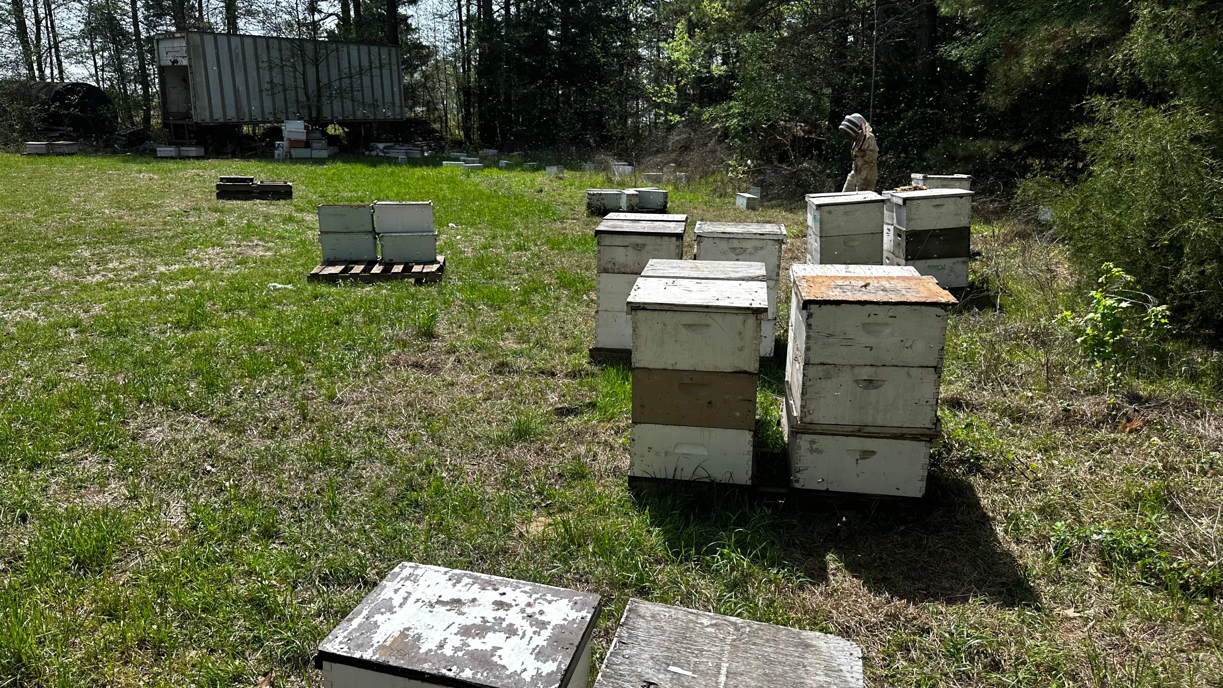 Traylor's Hay Meadow Apiary by Rockwall Honey Bee Company