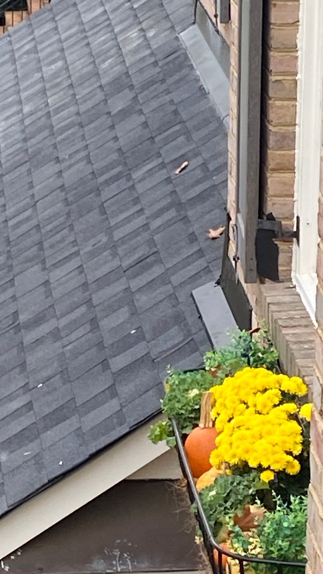 Alexandria: Residential Roof Replacement with CertainTeed Landmark Pro Designer Shingles in Max Def Moire Black by RM Banning, Inc.