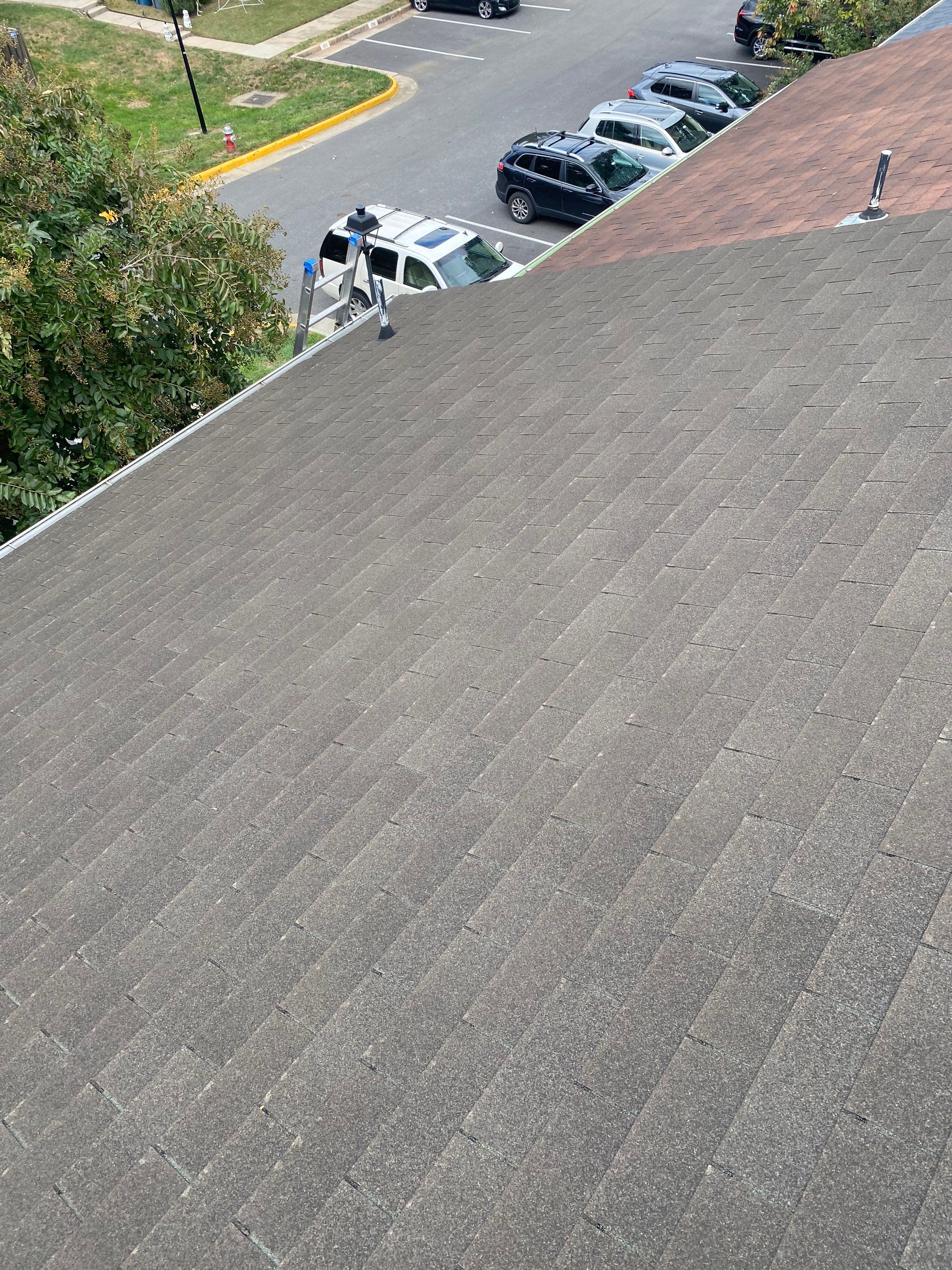 Alexandria : Residential Roof Replacement with CertainTeed Landmark Pro in Max Def Weathered Wood by RM Banning, Inc.