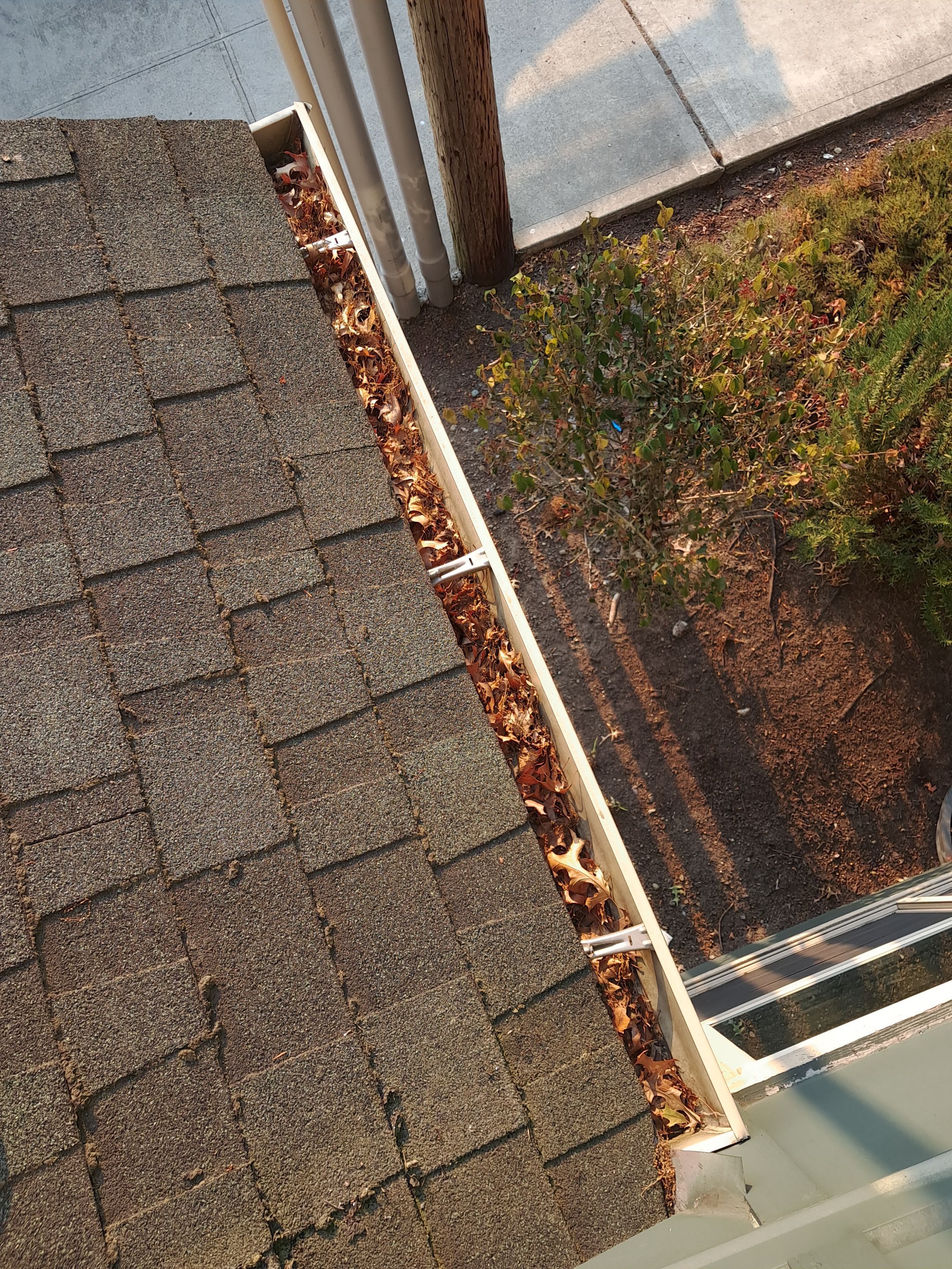 Commercial gutter cleaning Seattle before photo with filled gutters