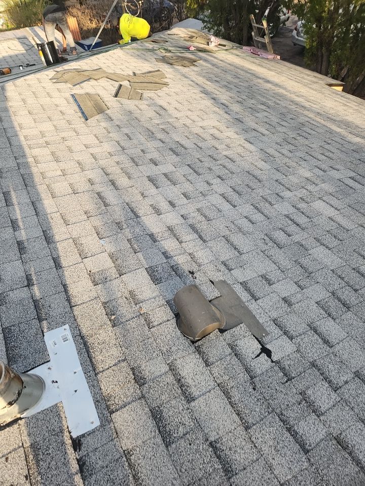 Silver Birch Shingles by Reimagine Roofing