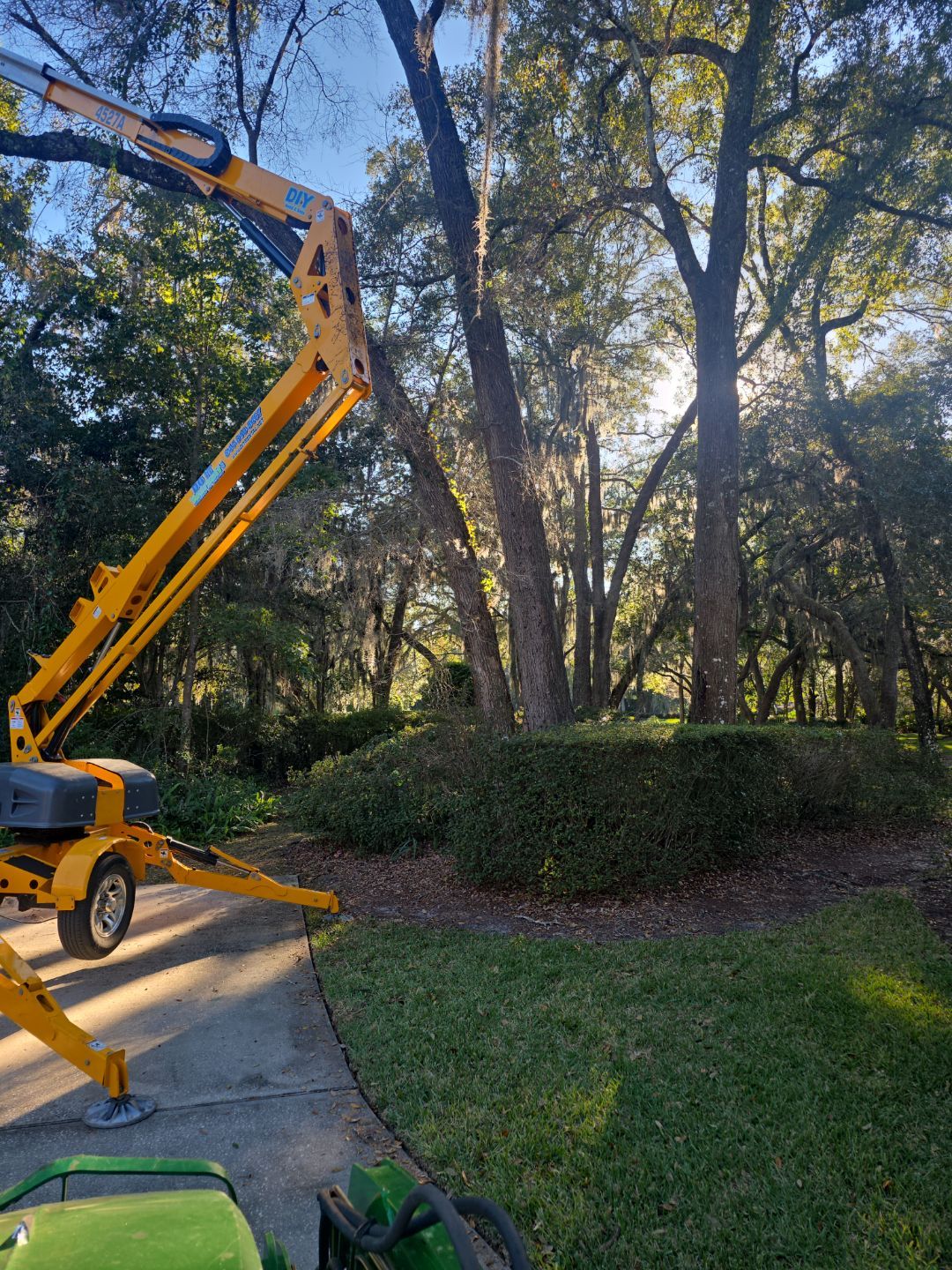 Deerwood Resident | Tree Removal & Trimming by ProGreen Services