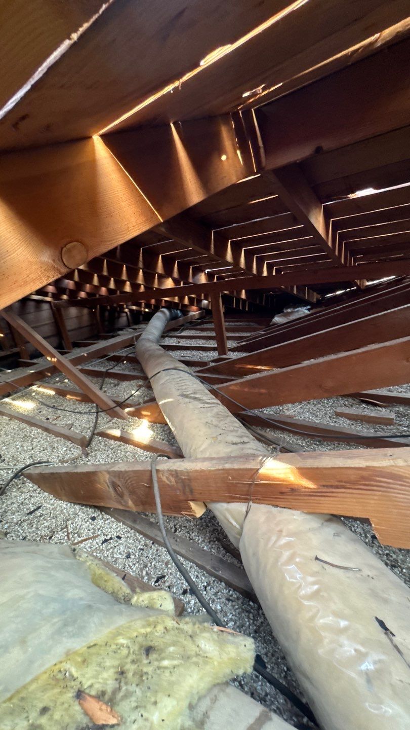 Willa Holmstock by NuLead Construction Inc