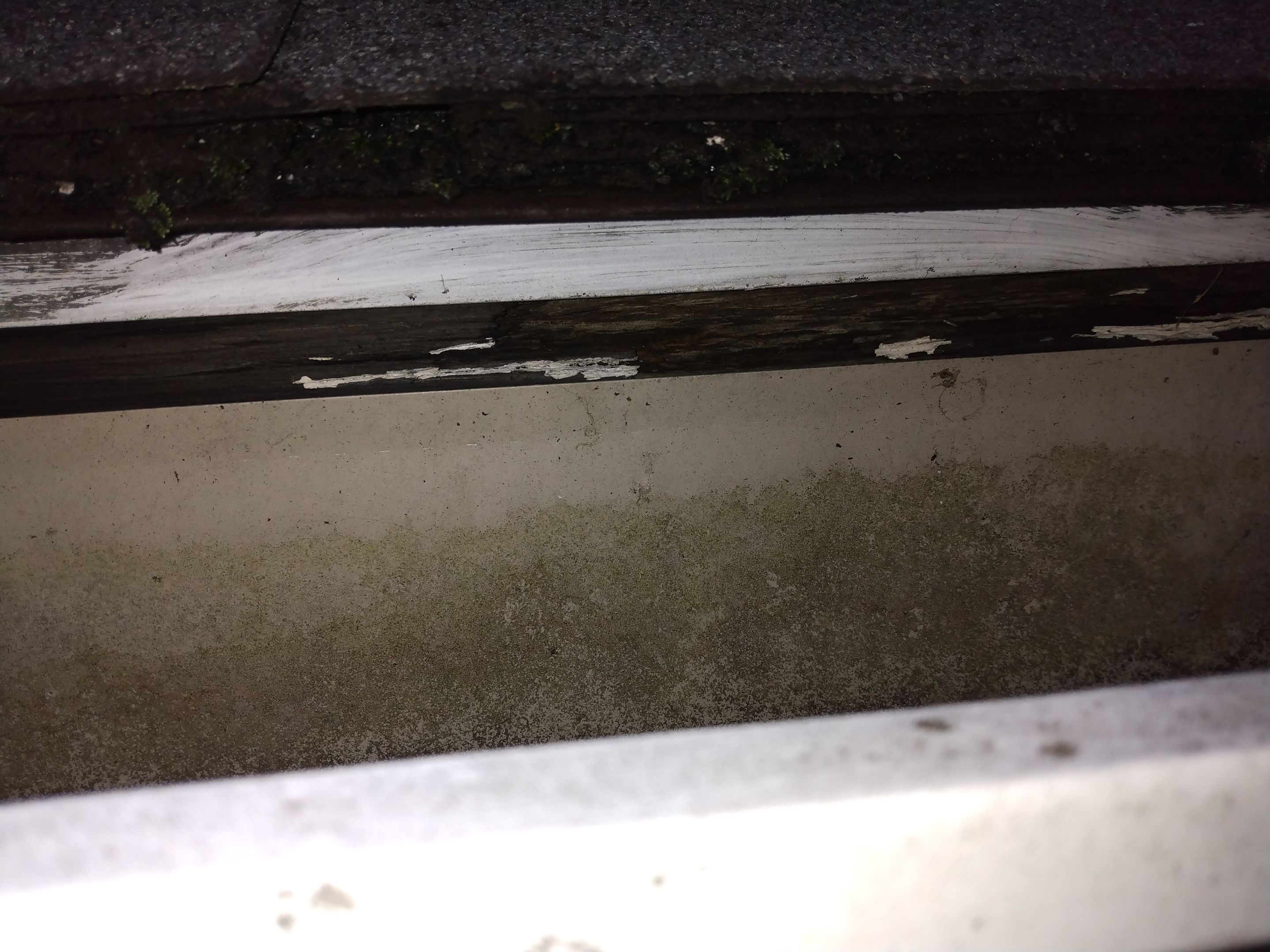 Barnaby Ofori by Constructive Project Management