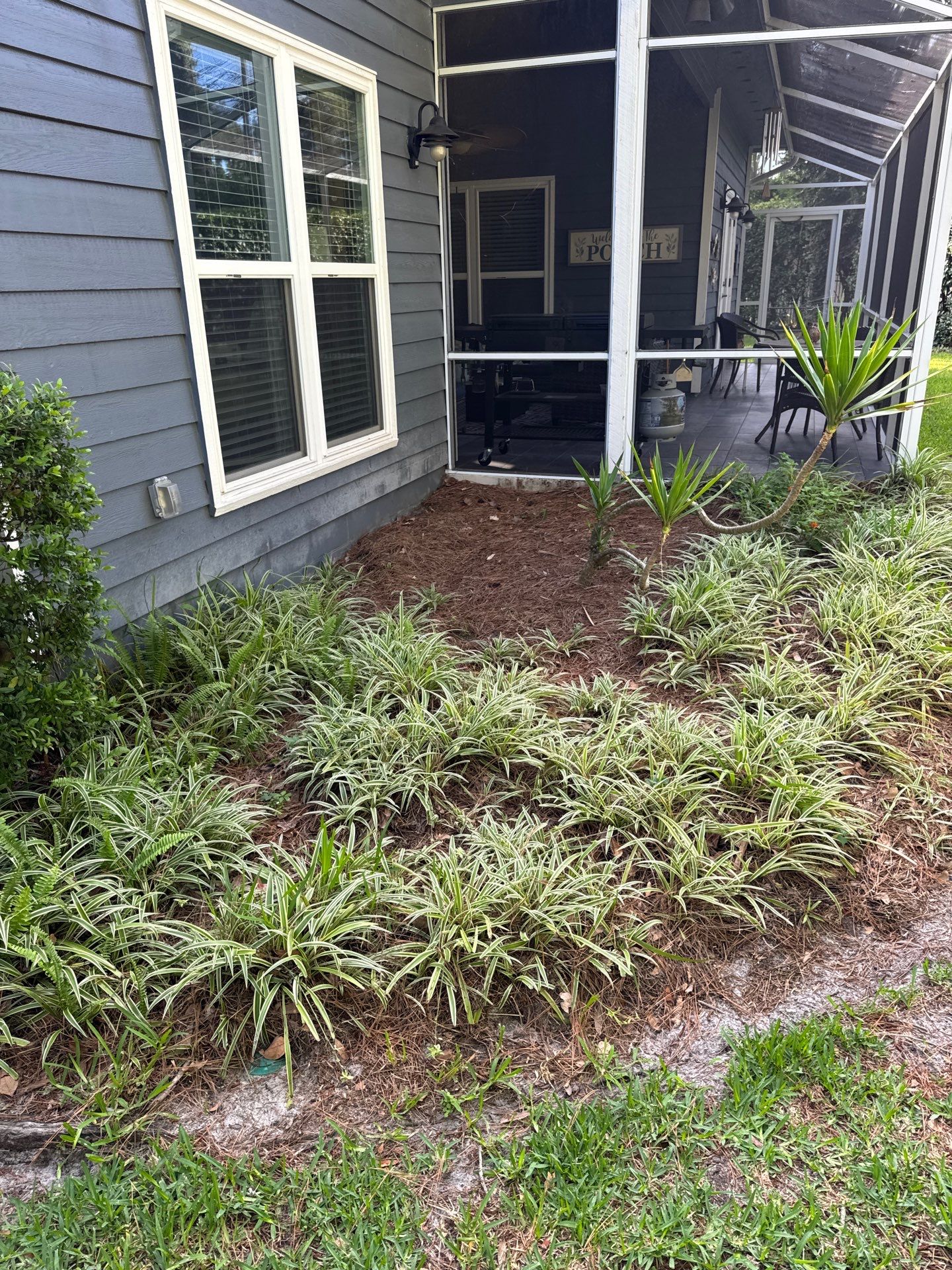 Residential | Pine Straw Install by ProGreen Services