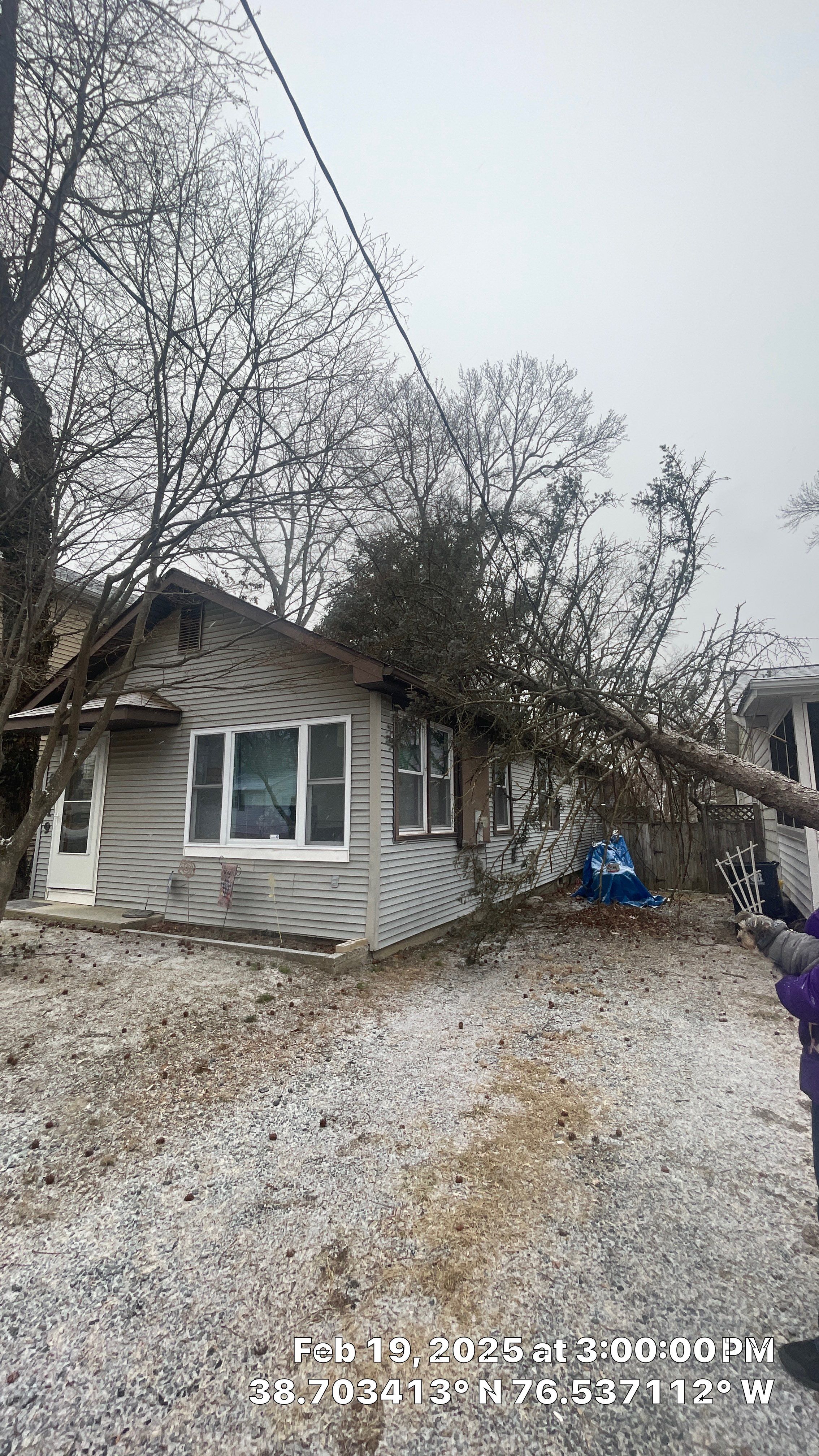 Gutter and roof replacement by Window Depot of Annapolis