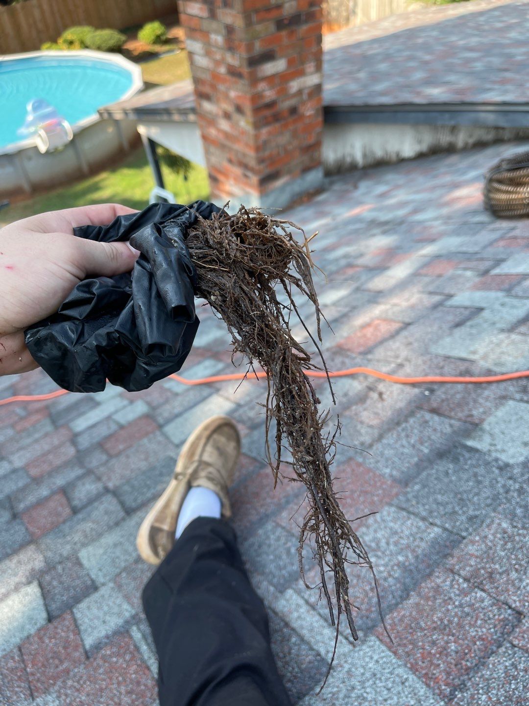 Project in Edmond by PRO-ROOTER