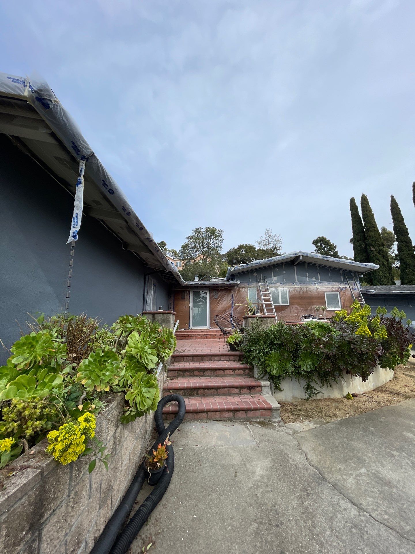 modern painting Exterior modern painting by Herrera’s Bay Area Painting inc.