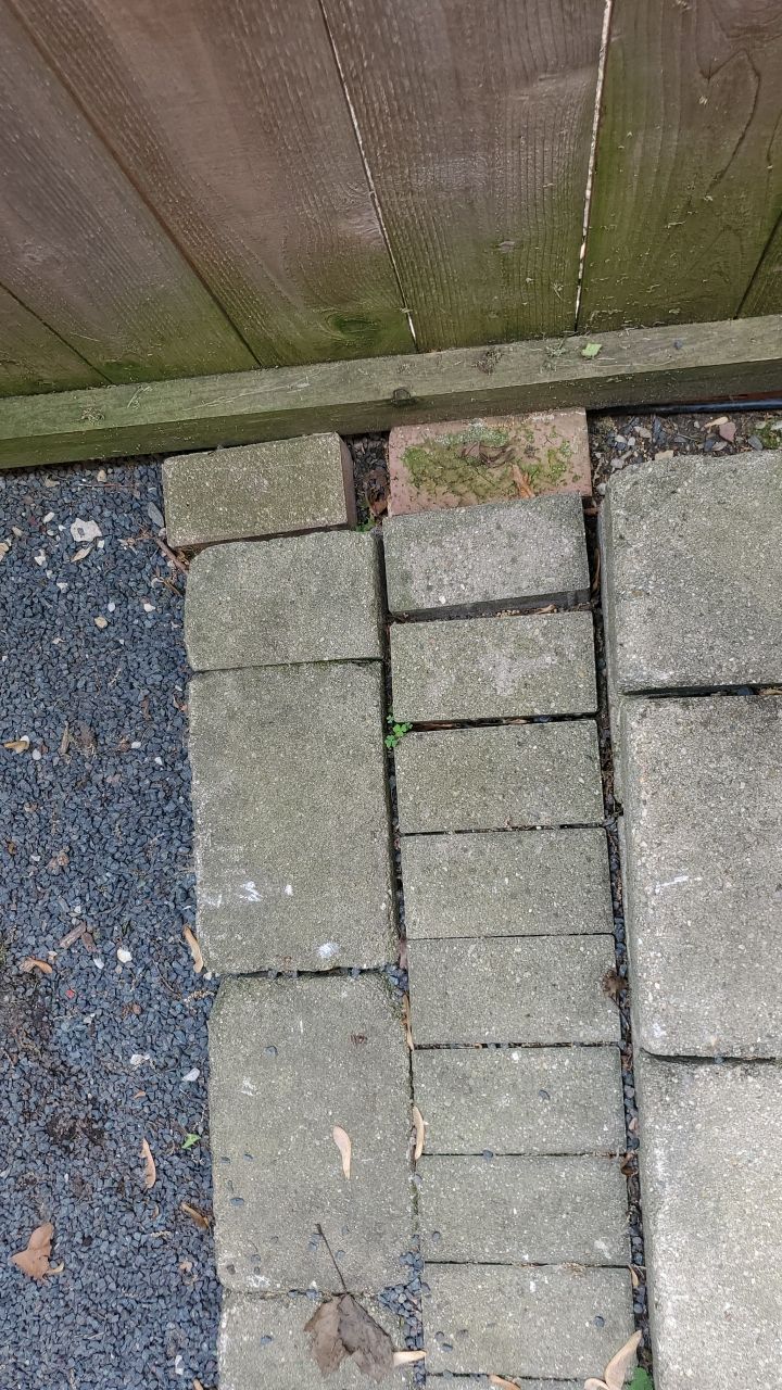 Brick patio repair, clean sand and seal by Northern Power Washing LLC.