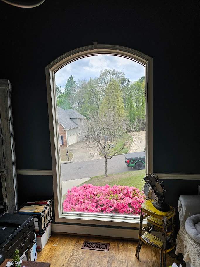 Robinson Project in Helena by The Window Source