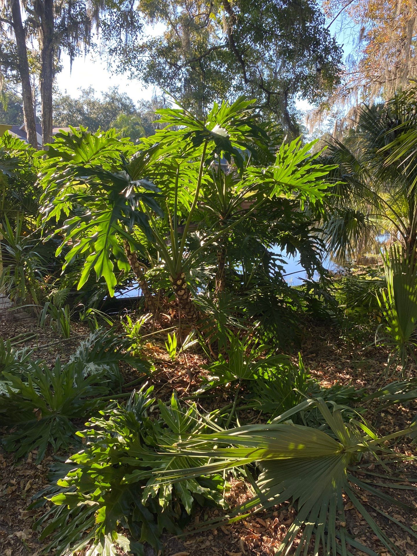 Deerwood Resident | Extreme Clean Up by ProGreen Services